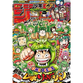 Magazine Cover Coated Paper Poster