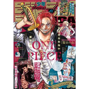 Magazine Cover Coated Paper Poster