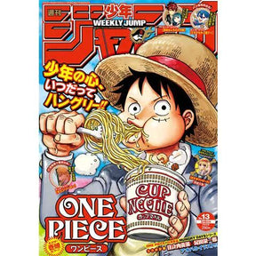 Magazine Cover Coated Paper Poster