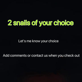 Den Den Mushi Transponder Snail Figure